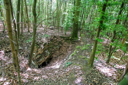 Doline, Erdfall, Brichkuhle im Teutoburger Wald photo