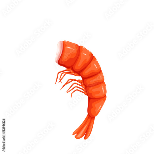 Shrimp vector illustration. Cartoon isolated one headless red prawn, marine crustacean animal without head, small shrimp with shell and tail for cooking appetizer, salad or Japanese healthy food