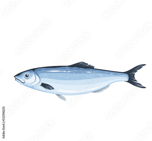Herring vector illustration. Cartoon isolated underwater sea or ocean fish, saltwater marine product of fishing and aquaculture, whole raw silver herring iwashi with head and tail for cooking