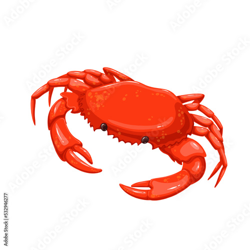 Crab vector illustration. Cartoon isolated seafood product and crustacean animal from sea or ocean beach with shell, claws and legs, single fresh marine crab for luxury restaurant menu on dinner