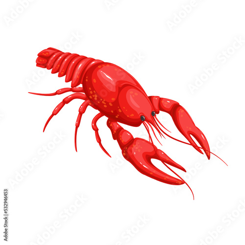 Crayfish vector illustration. Cartoon isolated red crawfish from sea beach, crustacean shellfish animal with shell, big claws and tail, natural seafood product for nutrition and tasty protein diet photo