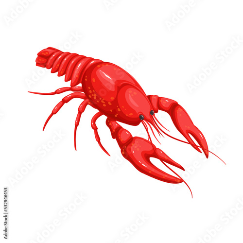Crayfish vector illustration. Cartoon isolated red crawfish from sea beach, crustacean shellfish animal with shell, big claws and tail, natural seafood product for nutrition and tasty protein diet