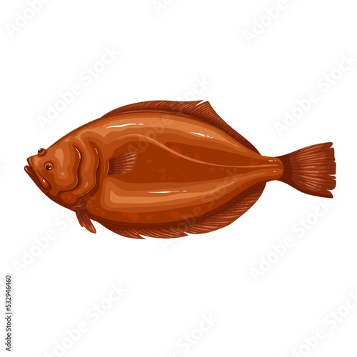 Halibut vector illustration. Cartoon isolated sea or ocean fresh fish for seafood restaurant menu, saltwater healthy fish product and aquaculture of commercial fishing food industry, fishery object