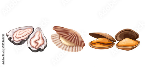 Shellfish in seashells set vector illustration. Cartoon isolated sea and ocean animals with shell, exotic bivalve mollusk and seafood collection with scallop, oyster and mussels food ingredients