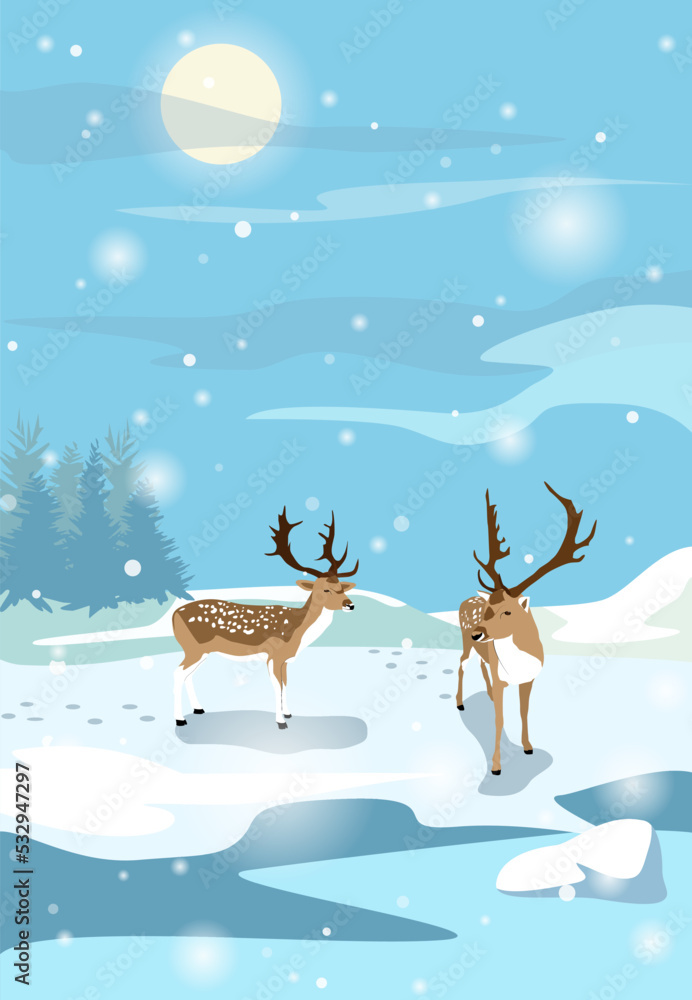 Deer at night on the shore of a frozen lake Deer at night on the shore of a frozen lake