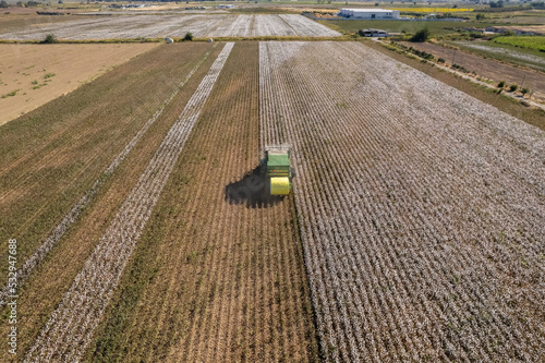 Obraz na płótnie Drone footage . Cotton collecting vehicle . Cotton harvesting in Turkey - Izmir - Menemen plain w salonie