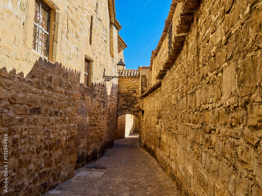 Medieval alley with a stone arch in Baeza Old Town, a beautiful village in the province of Jaen. Andalusia, Spain, Europe