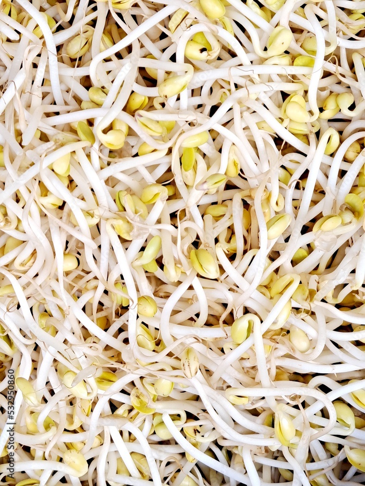 Fresh bean sprouts at the Korean vegetable market