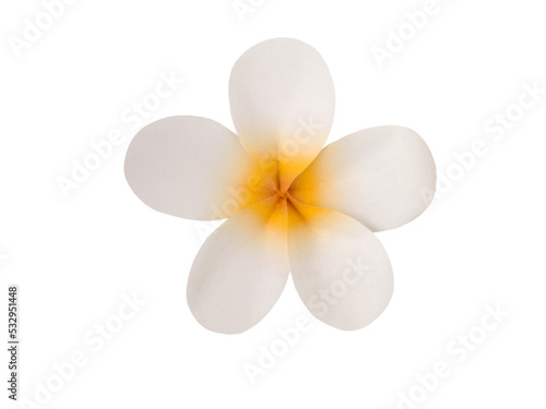 Paper tiare flower isolated png
