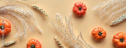 Autumntime background with tiny orange pumpkins, dry pampas grass and wheat ears. Flat lay, top view on orange paper. Monochromatic Fall simple minimal backdrop, top view.