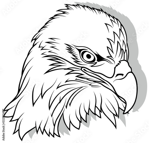 Drawing of Eagle Head - Black Illustration Isolated on White Background, Vector