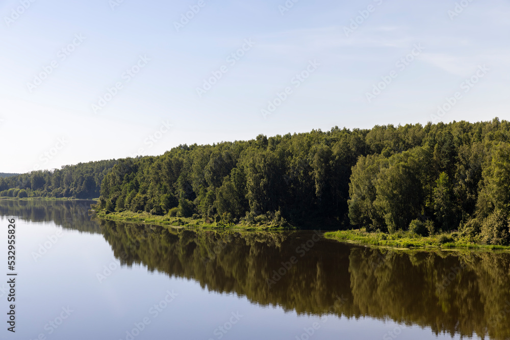 Trees in a mixed forest near the river in the summer season