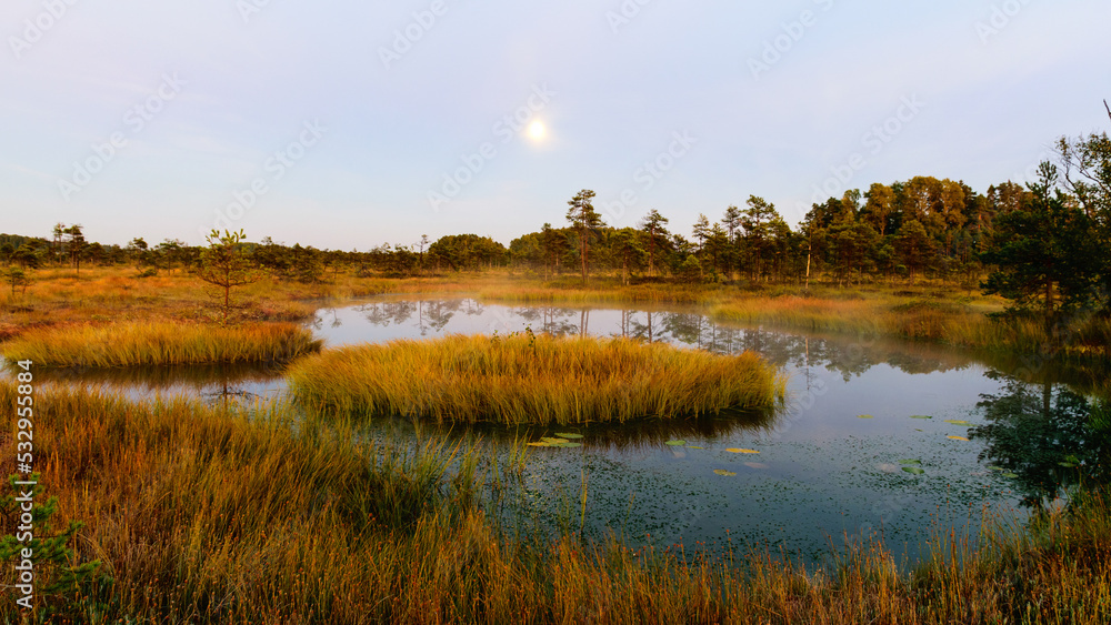 amazing sunrise picture with gorgeous sky, marsh at sunrise, magical morning in the marsh early in the morning amazing sunrise picture with gorgeous sky, marsh at sunrise, magical morning in the marsh early in the morning