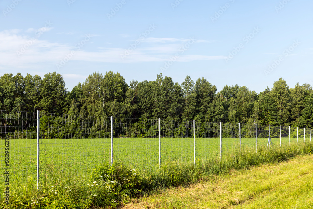 Metal fences for animal protection