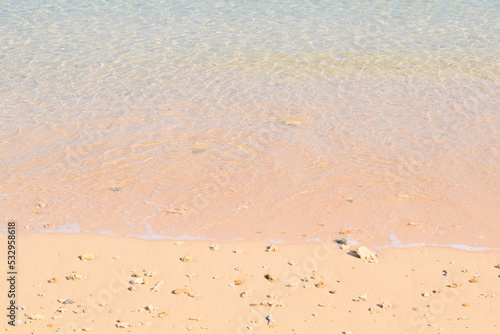 沖縄の海水浴場と砂浜の貝殻