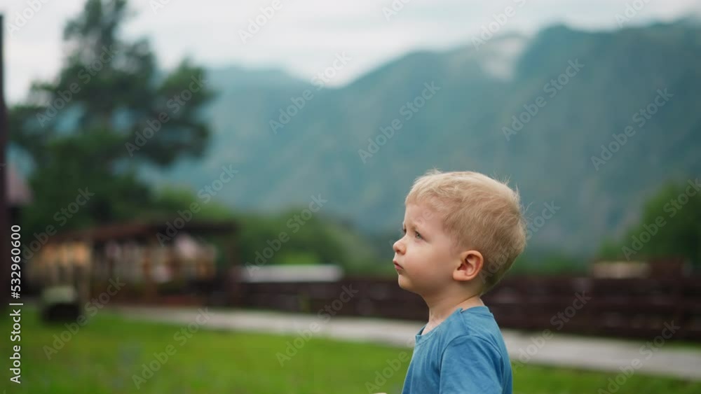 Upset toddler boy in blue t-shirt stands on lush meadow against eco hotel building surrounded by forestry old mountains close side view slow motion Upset toddler boy in blue t-shirt stands on lush meadow against eco hotel building surrounded by forestry old mountains close side view slow motion