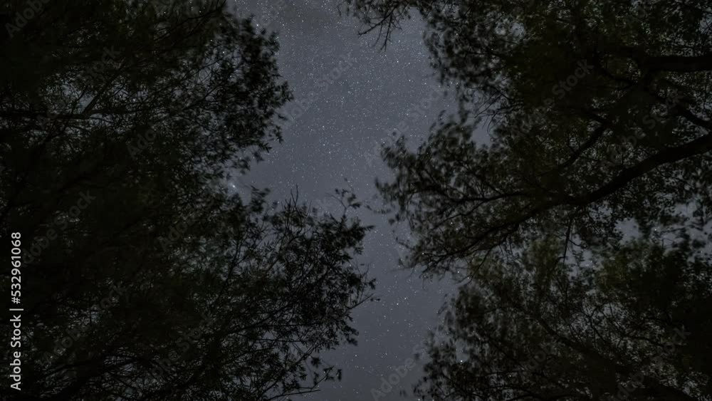 Very beautiful starry sky through the branches of trees. Cinematic quality. The gaze follows the stars. The Andromeda galaxy is visible. Timelapse Very beautiful starry sky through the branches of trees. Cinematic quality. The gaze follows the stars. The Andromeda galaxy is visible. Timelapse