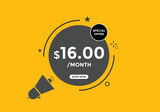 $16 USD Dollar Month sale promotion Banner. Special offer, 16 dollar month price tag, shop now button. Business or shopping promotion marketing concept
