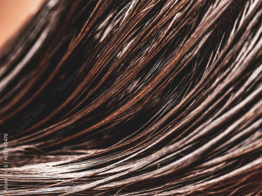 Obraz premium Beautiful wet long hair of a girl. Hair coloring in a beauty salon. Macro photography of women's hair. Concept of hair care.