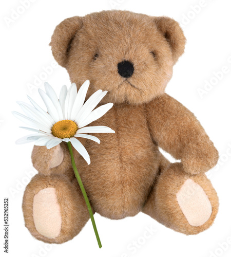 Fényképezés ursinae floral with wild doll and ursidae flower or brown puppet and wildlife leaf this illustration graphic design is perfect for you who love or like bear nature, mammal beautiful, and etc