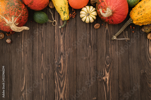Autumn vintage background with squash harvest border