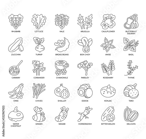 Set of Vegetable 2 thin line icons for any web and app project.