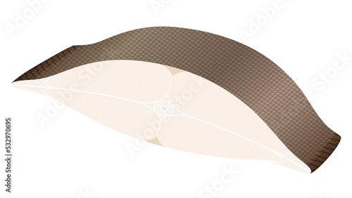 カレイの切り身のイラスト