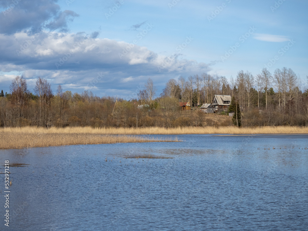 lake in the forest