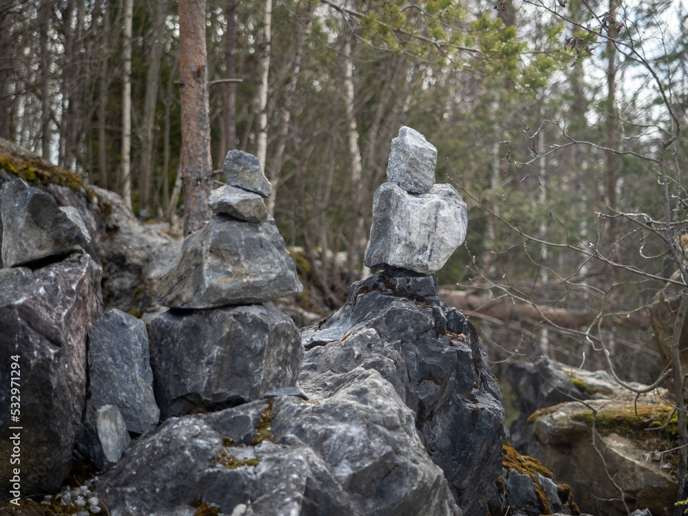 rocks in the forest