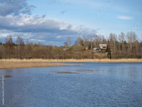 Obraz na płótnie lake in the forest w salonie