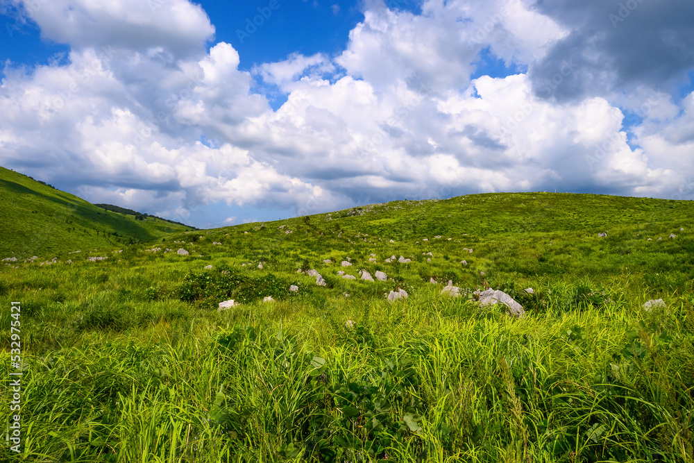 Naklejka premium 秋吉台