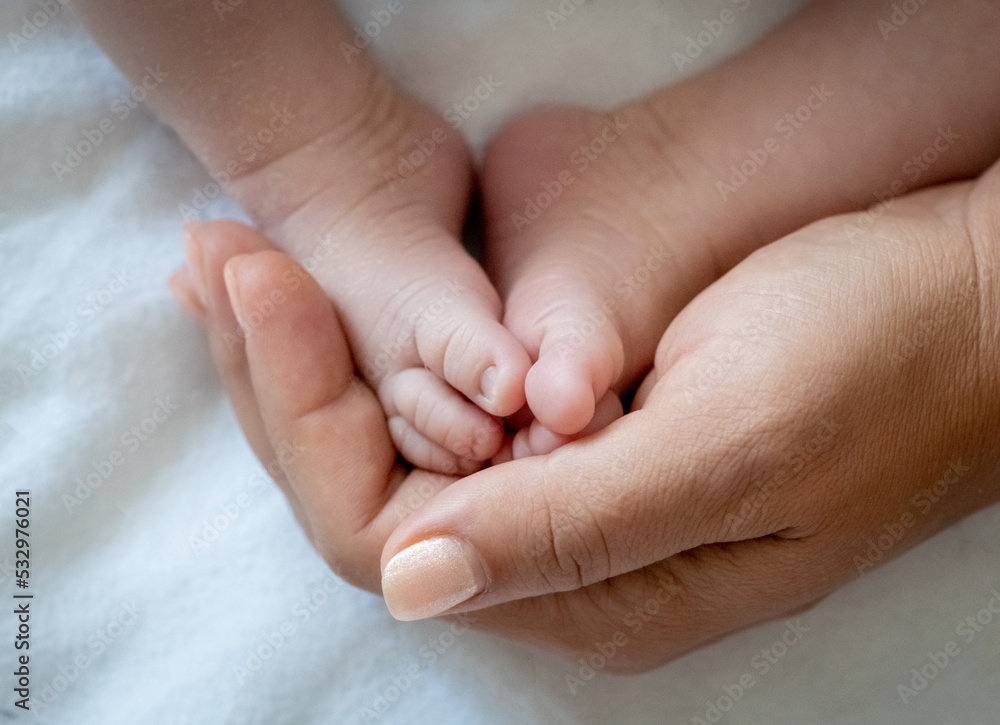Tiny feet the of a newborn baby in the mother's palms. Mom holds a newborn baby's feet in her hands. Close-up of a newborn baby's feet. Mother loves her baby. The concept of motherhood and parenthood Tiny feet the of a newborn baby in the mother's palms. Mom holds a newborn baby's feet in her hands. Close-up of a newborn baby's feet. Mother loves her baby. The concept of motherhood and parenthood