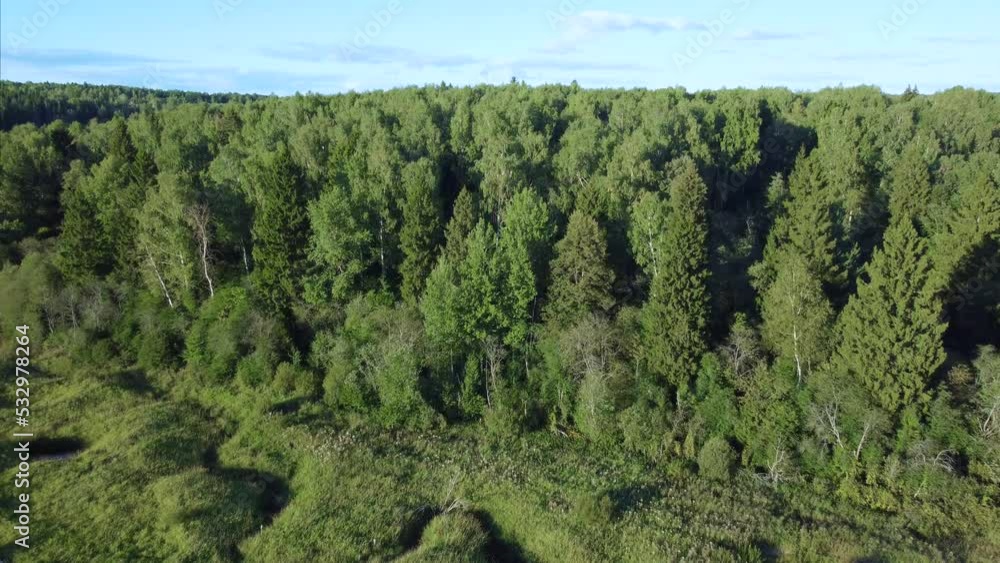 Evening autumn forest and field from above Evening autumn forest and field from above