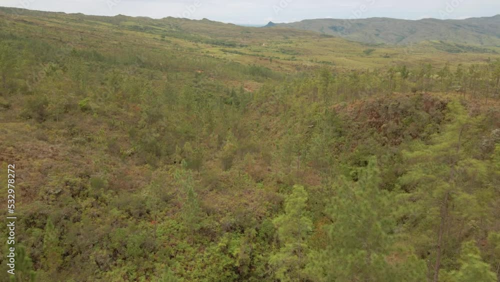 Rincones de la Reserva Forestal La Yeguada Rincones de la Reserva Forestal La Yeguada