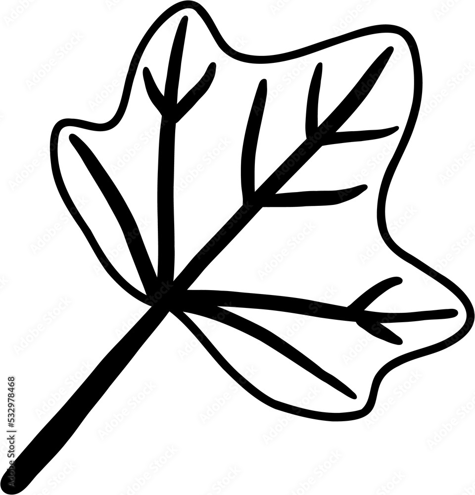simplicity maple leaf freehand drawing flat design. simplicity maple leaf freehand drawing flat design.