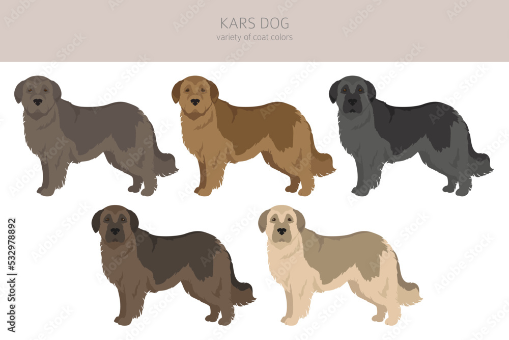 Kars dog clipart. Different coat colors set