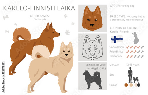 Karelo-Finnish laika  clipart. Different coat colors set