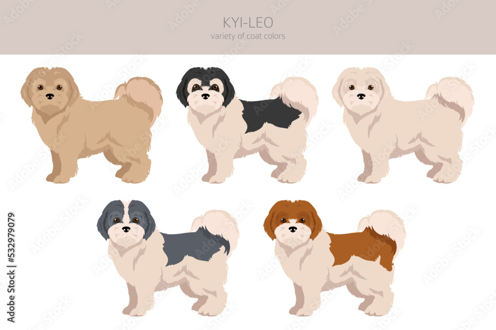 Kyi-Leo dog clipart. Different coat colors set Kyi-Leo dog clipart. Different coat colors set