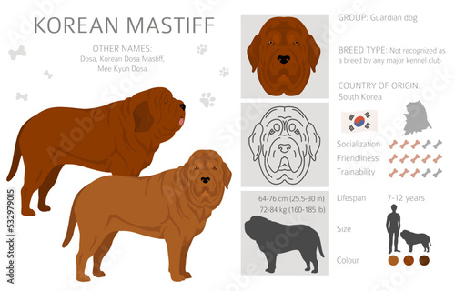 Korean mastiff clipart. Different coat colors set