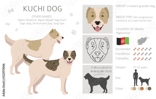 Kuchi dog clipart. Different coat colors set