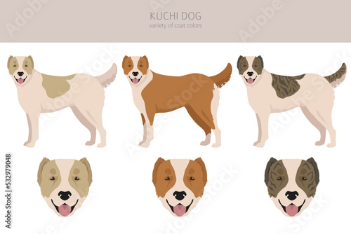 Kuchi dog clipart. Different coat colors set