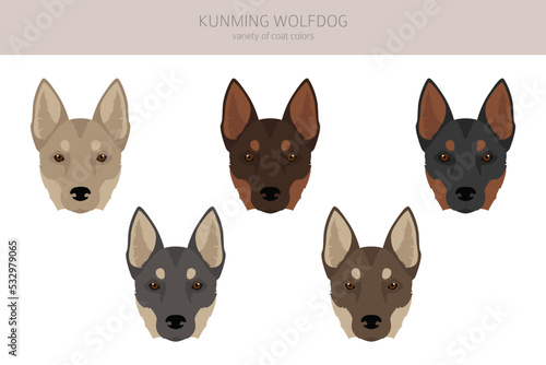 Kunming wolfdog clipart. Different coat colors set