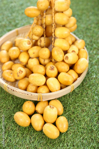 Fresh date plum  yellow sweet desert fruit. Date plum is popular for Muslim sweet  laying on green grass.