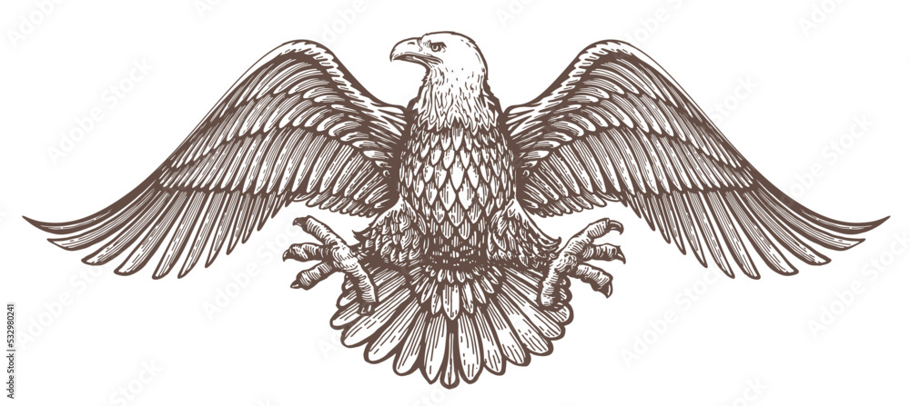 Eagle Wings Spread Clipart Black And White