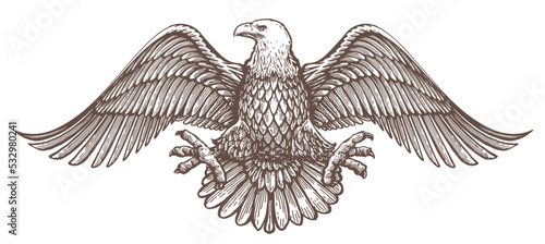 Bald Eagle with spread wings emblem. Royal symbol. Vector illustration. Hand drawn sketch in vintage engraving style