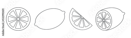 Lemon line art vector illustration set.