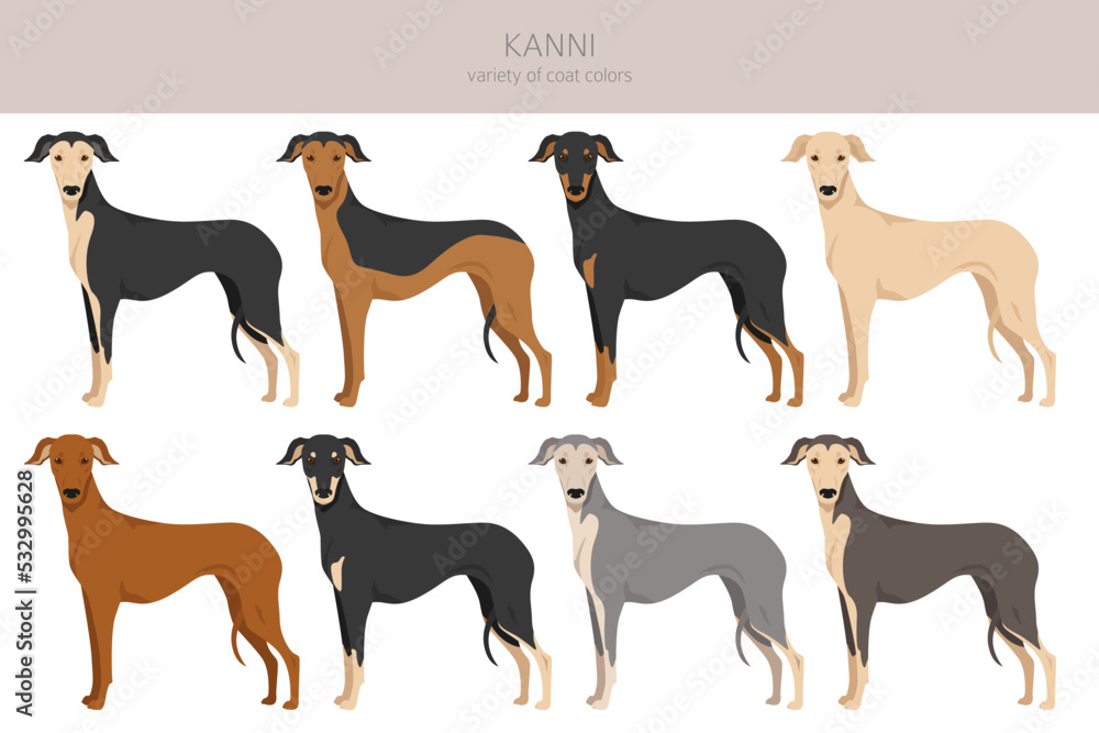 Indian Kanni dog clipart. Different coat colors set