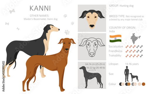 Indian Kanni dog clipart. Different coat colors set
