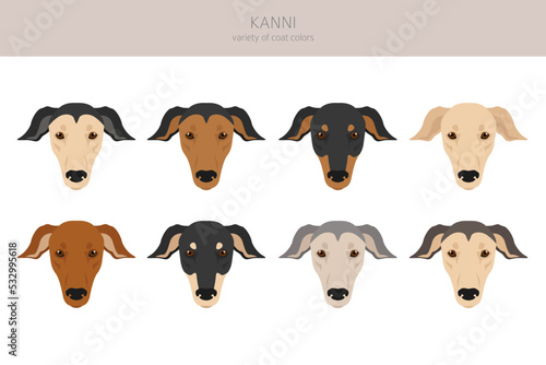 Indian Kanni dog clipart. Different coat colors set
