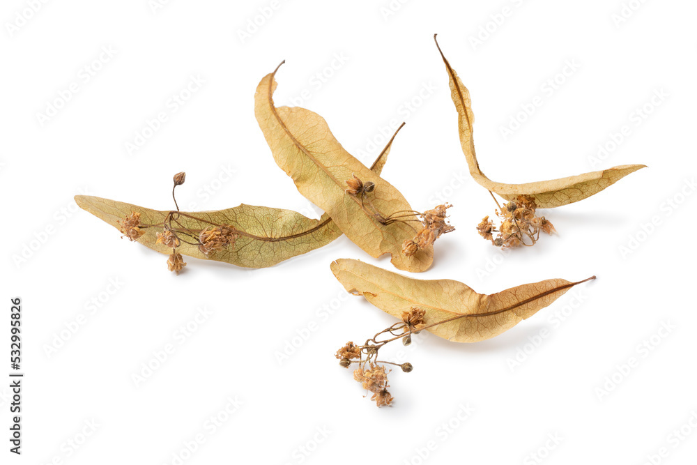 Fototapeta premium Dried tilia blossoms close up isolated on white background